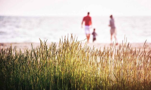 6 mensonges sur la retraite anticipée