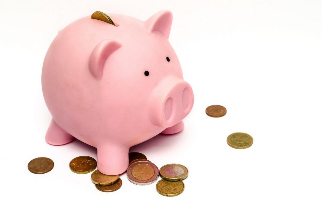 100 Astuces pour économiser beaucoup sans se priver